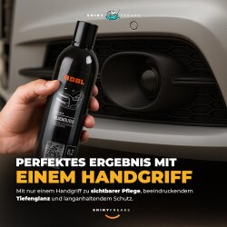 ADBL Kunststoffpflege Set Blackouter 200ml + Zubehör (7-teilig)